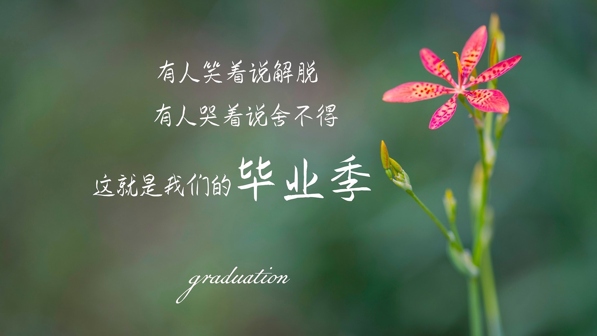 他的“硬汉”风格和“不屈”精神，赢得了全联盟的尊敬！，硬汉的特征