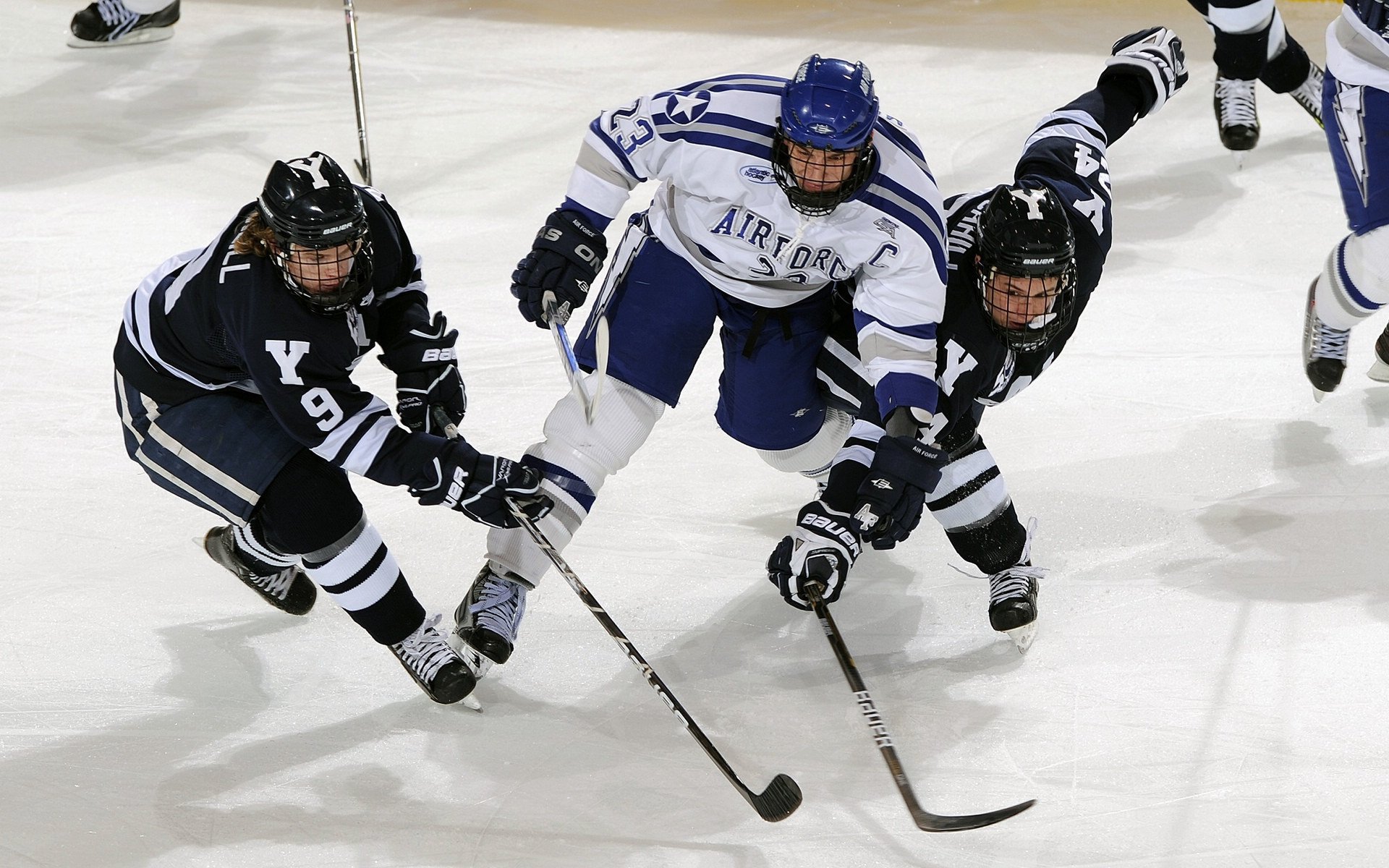 保利娜·普费夫跳台动作精准高难度加分