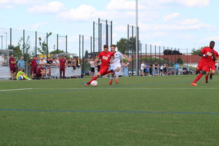 kaiyun中国官方网站-特色足球运动场设计结合智慧城市理念，实现多功能利用，趣味足球场设计