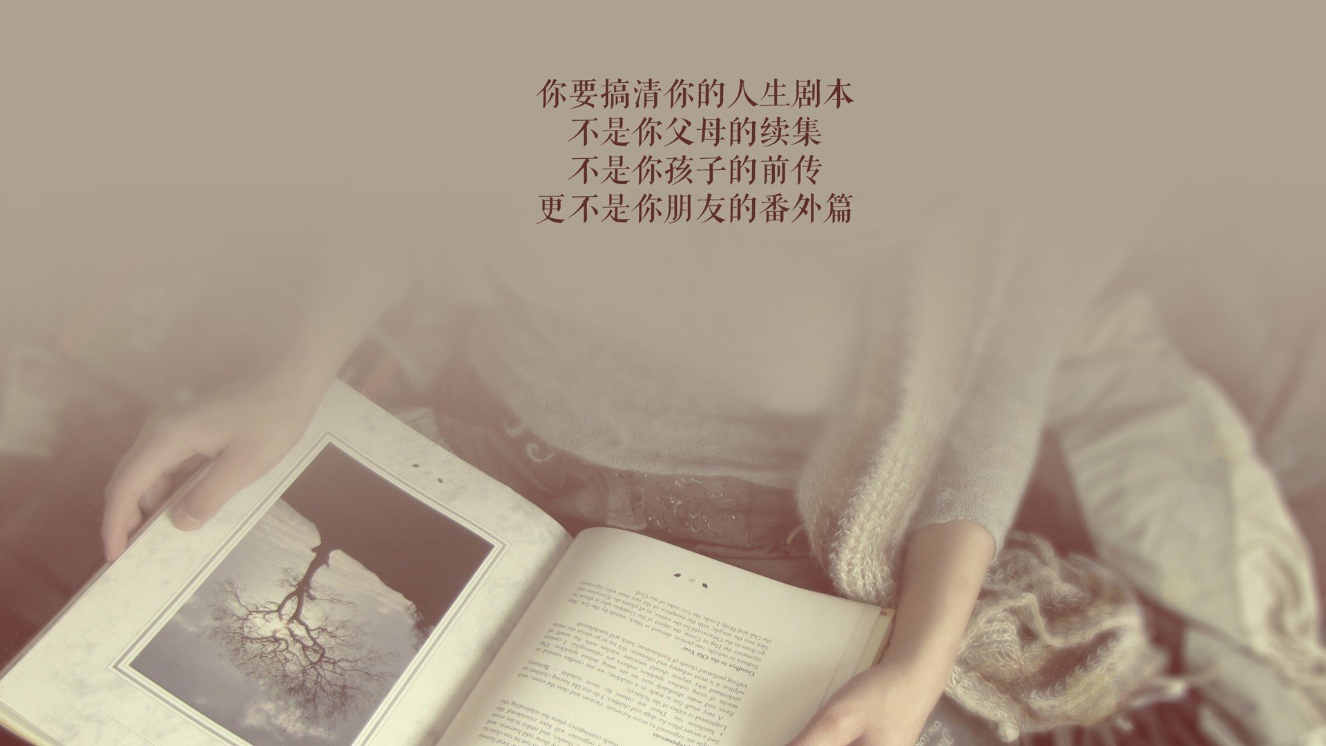 _奇才队队员协作无间,赢得重要比赛_,奇才队成员
