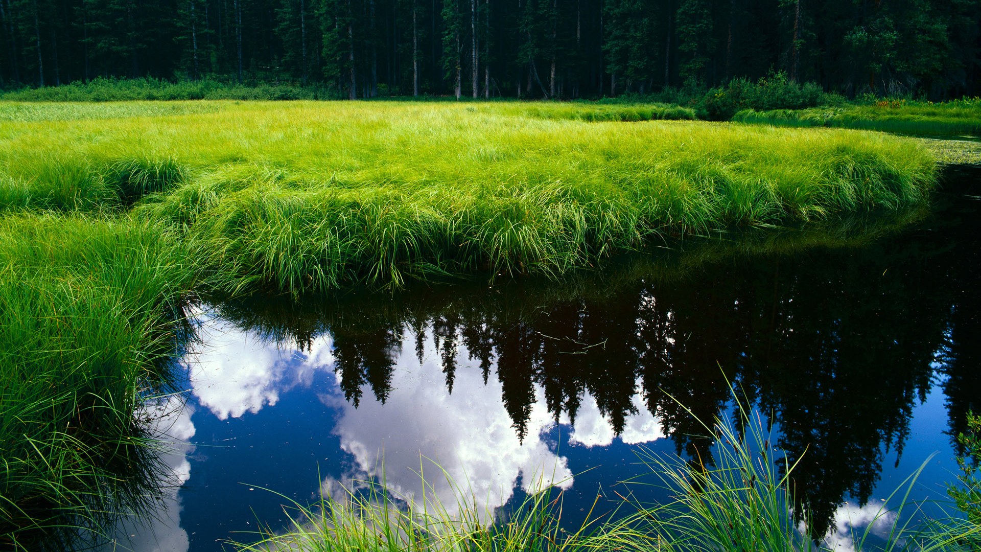 kaiyun网站-上海申花主场表现出色，锁定积分榜前三，上海申花主场迁移