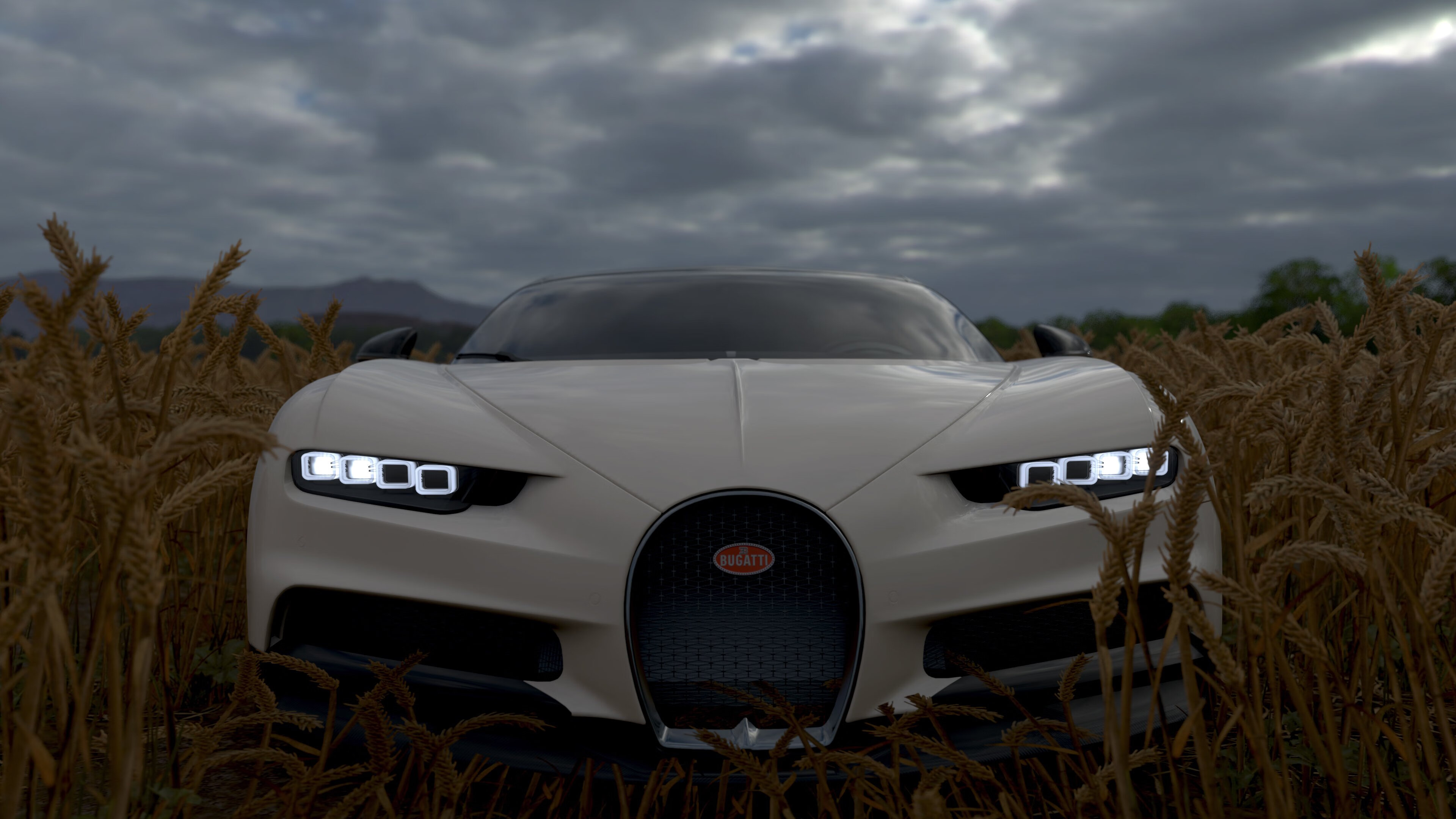 北极探险赛：极地挑战的无畏精神，北极探索